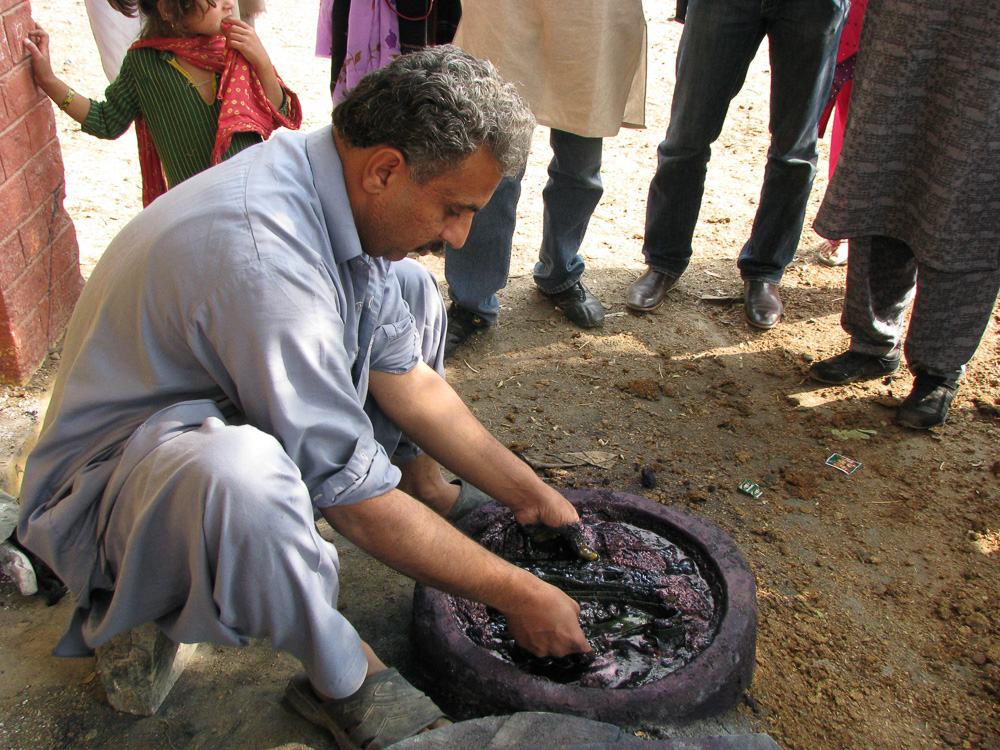 The SEWAN Project: Indigo Dyers of Pakistan