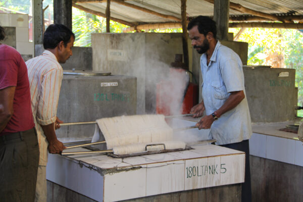 Natural Dyers of India